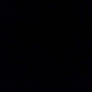 Meet your Posher, Kat